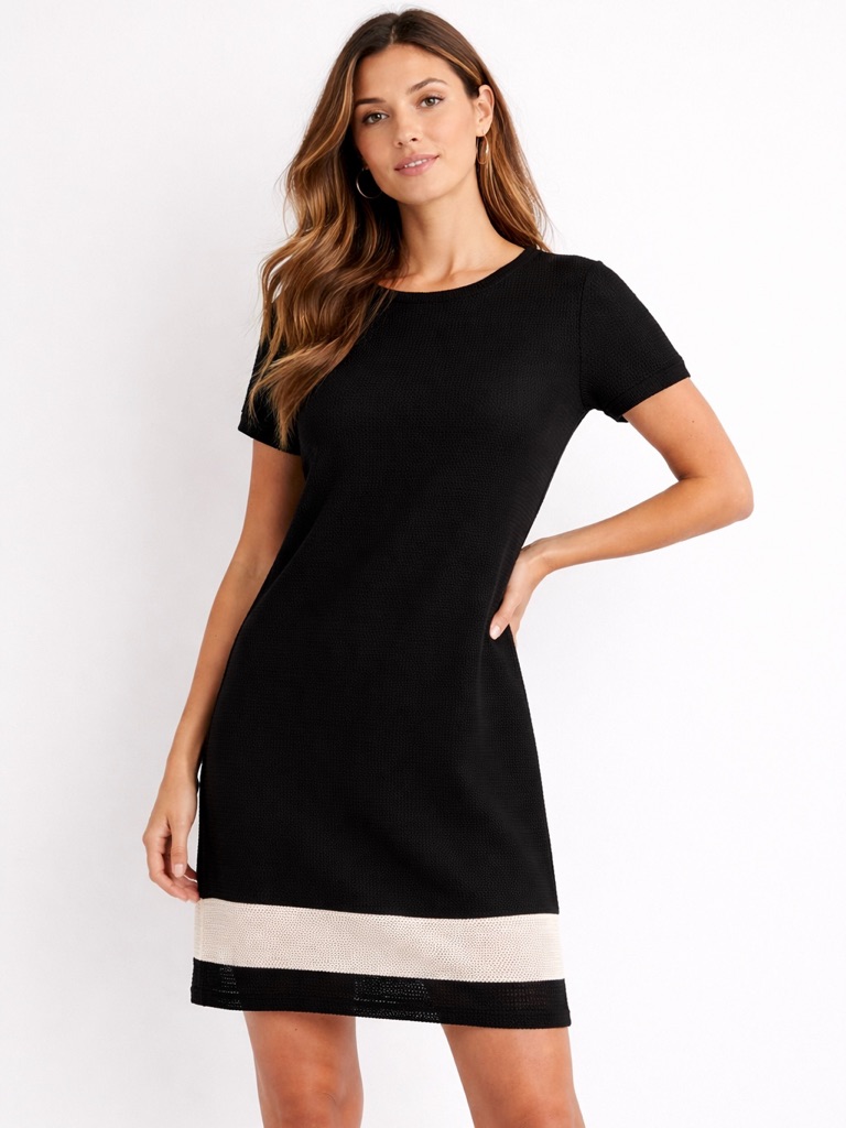 Rag & Bone Valerie Mesh Black White Stripe Short Sleeve Sheath Mini Dress